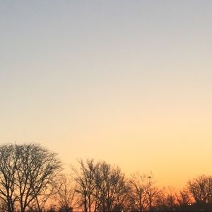 Meet your Posher, Shareef